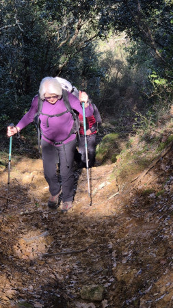 les côtes sont rudes....
